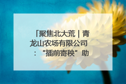 聚焦北大荒｜青龙山农场有限公司：“插前寄秧”助力农业节本增效