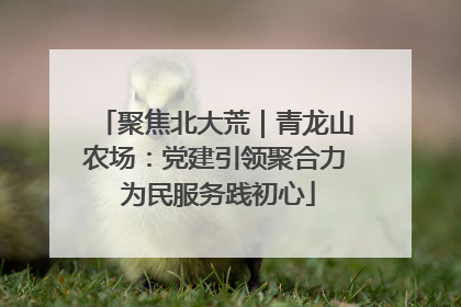 聚焦北大荒｜青龙山农场：党建引领聚合力 为民服务践初心