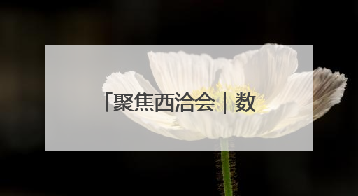 聚焦西洽会｜数千种土特产亮相西洽会 来看这些“爆款”产品