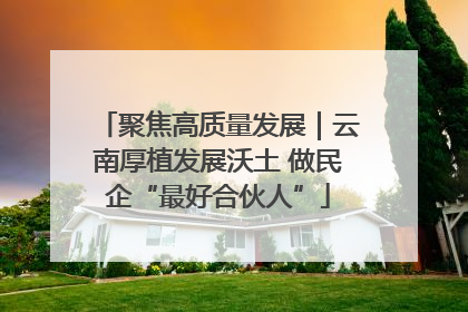 聚焦高质量发展｜云南厚植发展沃土 做民企“最好合伙人”