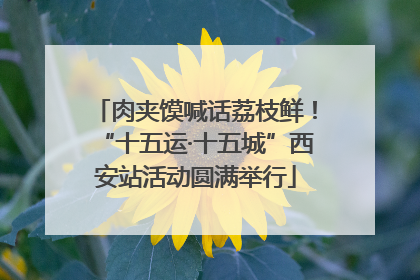 肉夹馍喊话荔枝鲜！“十五运·十五城”西安站活动圆满举行