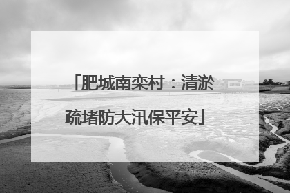 肥城南栾村：清淤疏堵防大汛保平安