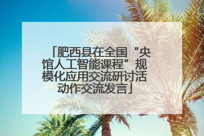 肥西县在全国“央馆人工智能课程”规模化应用交流研讨活动作交流发言