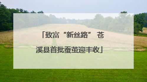 致富“新丝路” 苍溪县首批蚕茧迎丰收