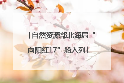 自然资源部北海局“向阳红17”船入列