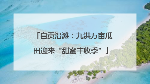 自贡沿滩：九洪万亩瓜田迎来“甜蜜丰收季”