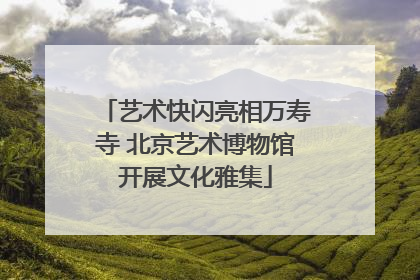 艺术快闪亮相万寿寺 北京艺术博物馆开展文化雅集