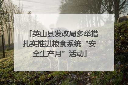 英山县发改局多举措扎实推进粮食系统“安全生产月”活动