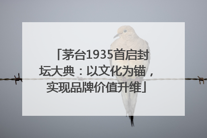 茅台1935首启封坛大典：以文化为锚，实现品牌价值升维