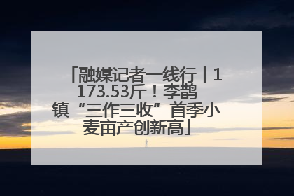 融媒记者一线行丨1173.53斤！李鹊镇“三作三收”首季小麦亩产创新高