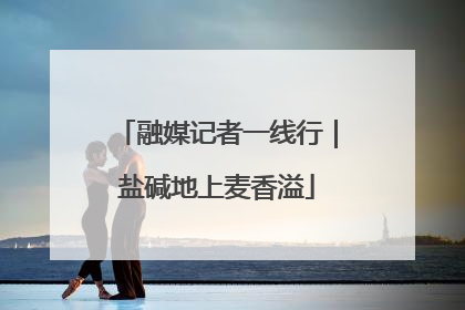 融媒记者一线行｜盐碱地上麦香溢
