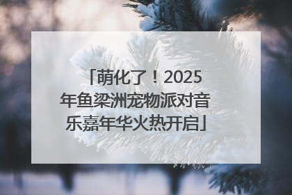 萌化了！2025年鱼梁洲宠物派对音乐嘉年华火热开启