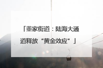 董家街道：陆海大通道释放“黄金效应”