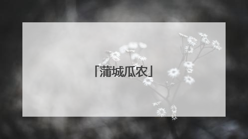 蒲城瓜农