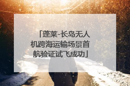 蓬莱-长岛无人机跨海运输场景首航验证试飞成功