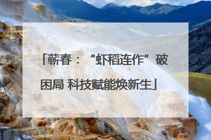 蕲春：“虾稻连作”破困局 科技赋能焕新生