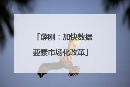 薛刚：加快数据要素市场化改革