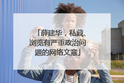 薛建华,私藏、浏览有严重政治问题的网络文章