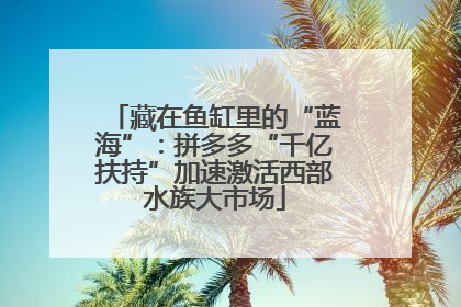 藏在鱼缸里的“蓝海”：拼多多“千亿扶持”加速激活西部水族大市场