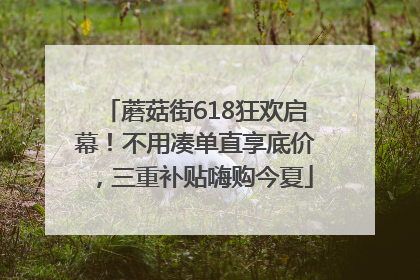 蘑菇街618狂欢启幕！不用凑单直享底价，三重补贴嗨购今夏