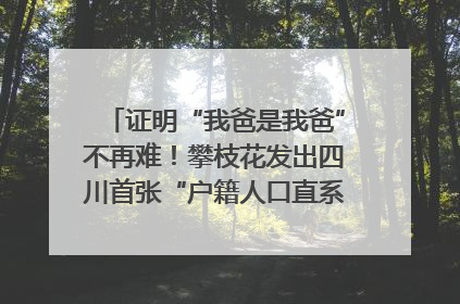 证明“我爸是我爸”不再难！攀枝花发出四川首张“户籍人口直系亲属关系谱”