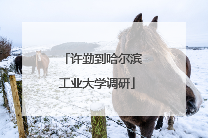许勤到哈尔滨工业大学调研
