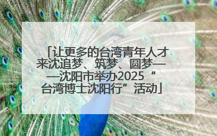 让更多的台湾青年人才来沈追梦、筑梦、圆梦——沈阳市举办2025“台湾博士沈阳行”活动