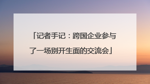 记者手记：跨国企业参与了一场别开生面的交流会