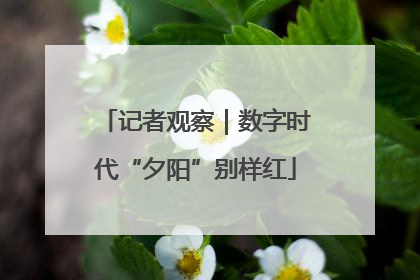 记者观察｜数字时代“夕阳”别样红