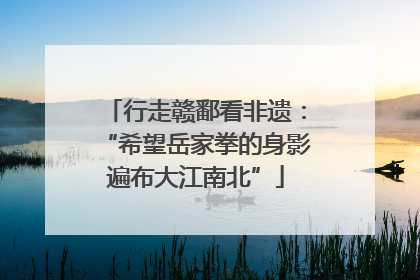 行走赣鄱看非遗：“希望岳家拳的身影遍布大江南北”