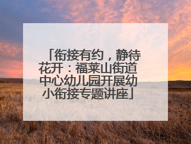 衔接有约，静待花开：福莱山街道中心幼儿园开展幼小衔接专题讲座