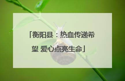 衡阳县：热血传递希望 爱心点亮生命