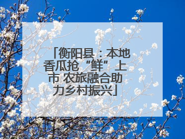 衡阳县：本地香瓜抢“鲜”上市 农旅融合助力乡村振兴