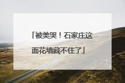 被美哭！石家庄这面花墙藏不住了