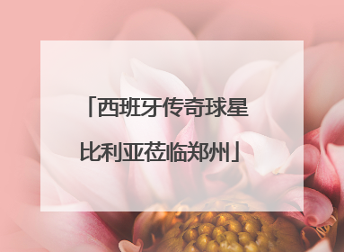 西班牙传奇球星 比利亚莅临郑州
