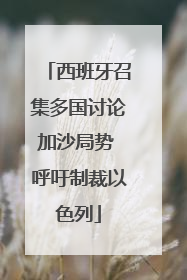 西班牙召集多国讨论加沙局势 呼吁制裁以色列