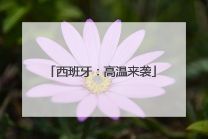 西班牙：高温来袭
