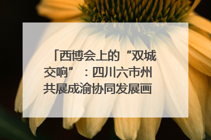 西博会上的“双城交响”：四川六市州共展成渝协同发展画卷｜西博视界
