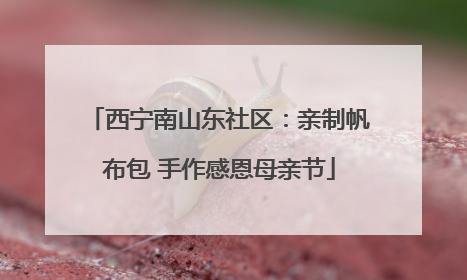 西宁南山东社区：亲制帆布包 手作感恩母亲节