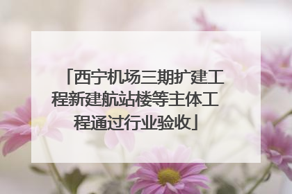 西宁机场三期扩建工程新建航站楼等主体工程通过行业验收
