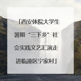 西安体院大学生暑期“三下乡”社会实践文艺汇演走进临潼区宁家村