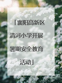 襄阳高新区清河小学开展暑期安全教育活动