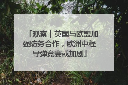 观察｜英国与欧盟加强防务合作，欧洲中程导弹竞赛或加剧