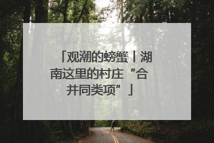 观潮的螃蟹丨湖南这里的村庄“合并同类项”