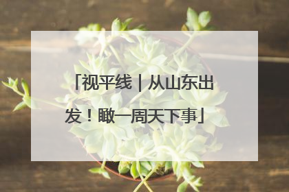 视平线｜从山东出发！瞰一周天下事
