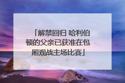 解禁回归 哈利伯顿的父亲已获准在包厢观战主场比赛