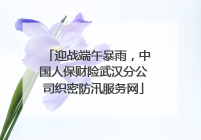 迎战端午暴雨，中国人保财险武汉分公司织密防汛服务网