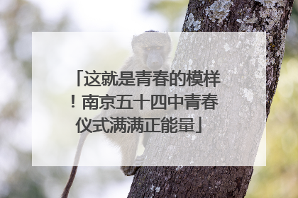 这就是青春的模样！南京五十四中青春仪式满满正能量