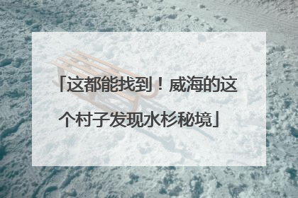 这都能找到！威海的这个村子发现水杉秘境