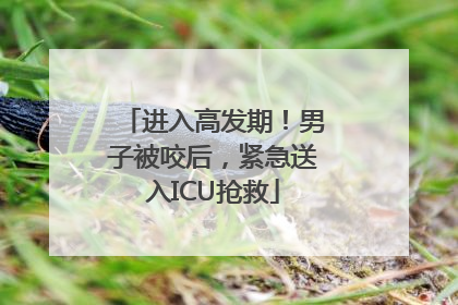 进入高发期！男子被咬后，紧急送入ICU抢救